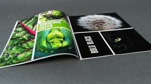 World of Color Catalog